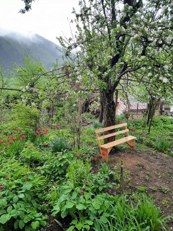 Guest House Bochora Borjomi Exterior foto